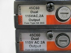 Lot of 10 Reliance Electric 45C60 AutoMate Dual 115V 2A Output Modules Qty 10