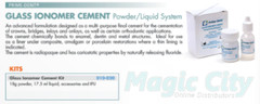 Prime-Dent Dental Glass Ionomer Luting Cement Kit Crowns – PACK OF 2