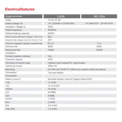 GEYA Solar DC Mini Circuit Breaker 2P MCB 6/10/16/25/32/40/50/63/80/100/125Amp