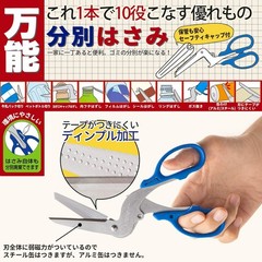 Sun-Star Stationery universal separation scissors S3716317 From Japan