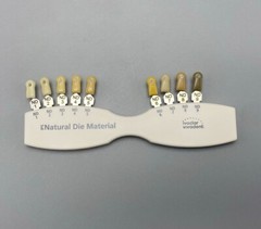 Dental Ivoclar Vivadent Dental Shade Guide Natural Die ND1-9 Color Bleach Teeth