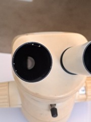 Leica MS5 Stereoscope