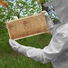 Beehive 10 Frame Add-On 10 Deep Replacement Frames Langstroth Beekeeping
