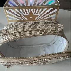 Christian Dior 2025 limited pouch bag Holiday Cosmetic Bag Gold New F/S