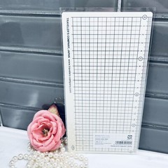 Traveler’s Company Notebook Traveler Train 2018 LIMITED EDITION Plastic Sheet