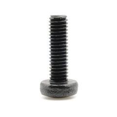 Stainless Screws for Toyota RAV4 License Plates (Set of 4, Black, Rear)