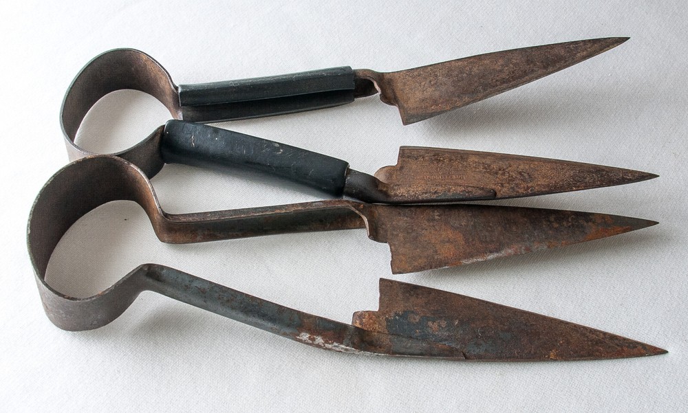 Vintage Sheep Goat Shears Scissors Set of 2 12 in each Wool Cutters