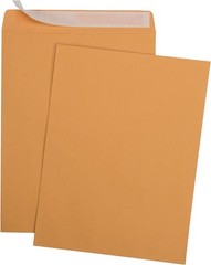 Versatile 9×12 Self-Seal Kraft Envelopes – 28lb, 100 Count for Reliable Mailing