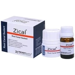 Prevest Denpro Zical Antibacterial ZOE Root Canal Sealant Powder & Liquid