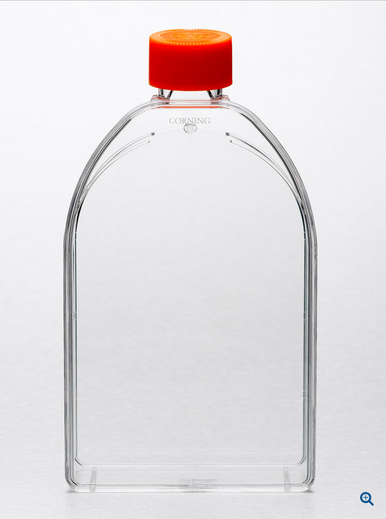 TISSUE CULTURE FLASK – Corning 430825 Sterile 150cm2 Vented Cap – 50/CS