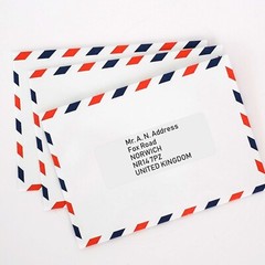 30000 Economy Address Labels Laser Ink Jet Compatible Word Sizes. 1000 Sheets!