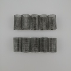 Aftermarket 246357 40 mesh Check Valve Filter Screen for Fusion Air Purge AP Gun