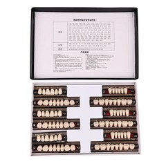 Dental Acrylic Resin Denture Teeth Upper Lower Full Set Shade Anterior Posterior