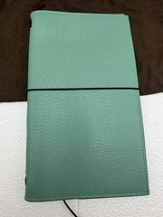 Gillio Firenze Giramondo Regular Epoca Aqua Leather TN Cover Box Bag 275/02-810