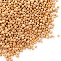 Yellow Mustard Seeds Bulk, 5-Pounds