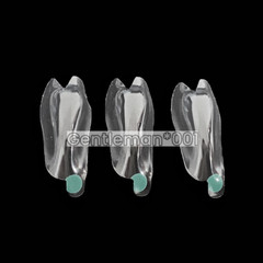 Dental Anterior Distal Matrix Clear BT Matrice Maxillary Matrices Contoured W2