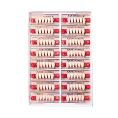 Dental Resin Teeth Synthetic Acrylic False Teeth Big Size Shape A1 A2 A3