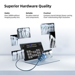 Dental Sectional Contoured Metal Band Metal Matrices Matrix Ring Resin Refill F1