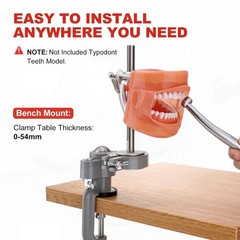 Dental Typodont Mounting Pole Implant Pole 360° Dental Simulator not Teeth Model