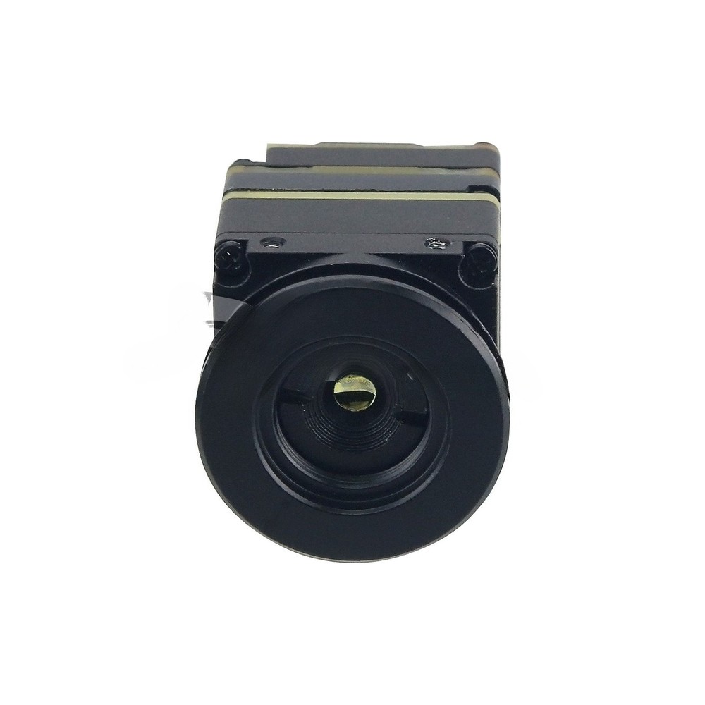 TZT 256X192 4MM Lens Thermal Imager CVBS Interface 12um IR Micro Camera