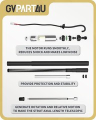Tailgate Struts for Toyota Highlander 2020-2024