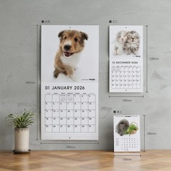THE DOG Desk Calendar 2026 [All Star] W 130 x H 218mm Made in Japan Free Ship