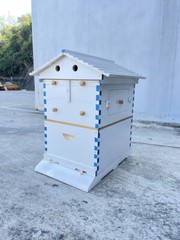 7PCS Automatic Honey Beehive Frames + White Painted Beehive House wooden Box New