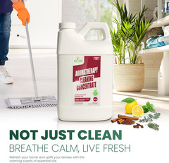 64 Oz, Makes 24 Gallons | All Purpose Multi Surface Cleaner, Plant-Based Essenti