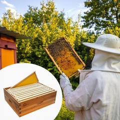 ⏯10-Frame Medium Super Bee Box Wax Coated Bee Hives Beehives Frame Wax Foundatio