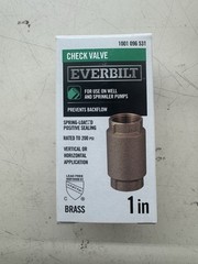 Everbilt 1 in. Brass Check Valve