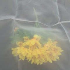 Silk Screen Printing Mesh, 100/110/120/140/160/180/200/250/300Mesh, White Yello