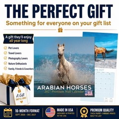 Arabian Horses Calendar 2024 FULL SIZE 12×24 Made in USA