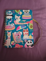 Mintgreen Journal 5×7 Spiral Notebook 200 Pages New Koala Dog Panda B46