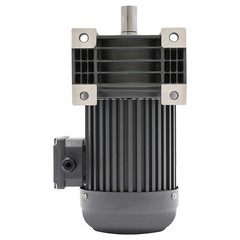 1HP Electric Gear Motor 1:30 Reduction Gear Motor AC Three-phase Horizontal 750W