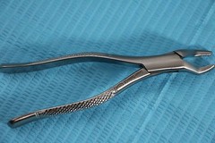GERMAN 10 GERMAN EXTRACTING FORCEPS EXTRACTION DENTAL INSTRUMENTS-A+ QUALITY