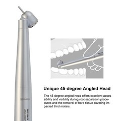 BEING Dental Surgical Handpiece 45 Degree Angle High Speed NSK Phatelus Coupler