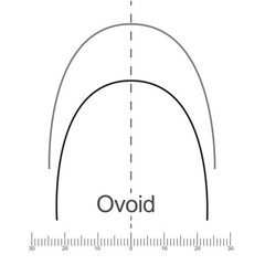 Orthodontic Stainless Steel NITI Arch Wire Round Rectangular Ovoid Natural U/L