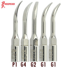 Woodpecker DTE Dental Ultrasonic Piezo Scaler LED Handpiece Satelec ACTEON/EMS