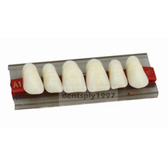 16sets Dental Acrylic Resin Upper Anterior False Teeth Two Layer 20HD Denture