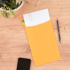 25 Count 6″ x 9″ Clasp Closure Brown Kraft Envelopes – Secure Mailing Solutions