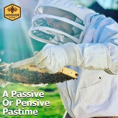 Hoover Hives Complete 10 Frame Beehive Kit Double Wax Dipped Langstroth