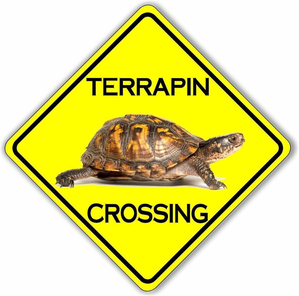 Terrapin Crossing Safety Yellow Aluminum Composite Sign