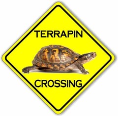 Terrapin Crossing Safety Yellow Aluminum Composite Sign
