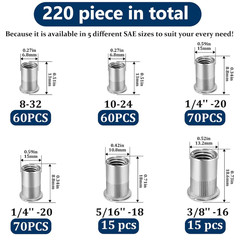 Rivet Nut Assortment Kit, 220 Pcs, Flat Head, 304 Stainless Steel, Various Sizes