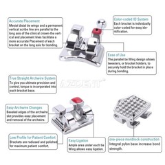 Dental Orthodontic Brackets Braces/Super Elastic Niti Arch Wire Ovoid Form