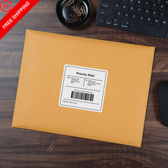 Quality Park 10 x 13 Clasp Envelopes, Gummed, 10 x 13, Kraft