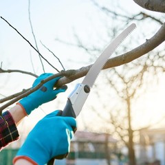 Pole Saw Blade, Steel Blade Replacement Silver Tree Pruner