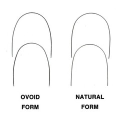J&J Ortho™ Orthodontic White Coated Arch Wire Ovoid / Natural Optional (1/pk)