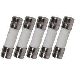 Pack of 5, F10AH250V, F10A 250V, F10 H250V, F10A 250V, F10H250V Cartridge Cerami