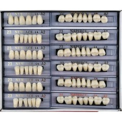 168Pcs/Box Acrylic Resin Denture #23 Dental Upper Lower Shade A2 Teeth Set US